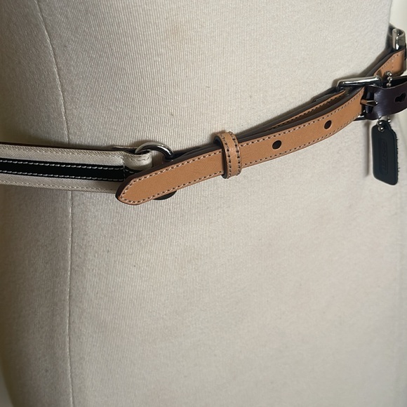 Coach Belt - Picture 2 of 3